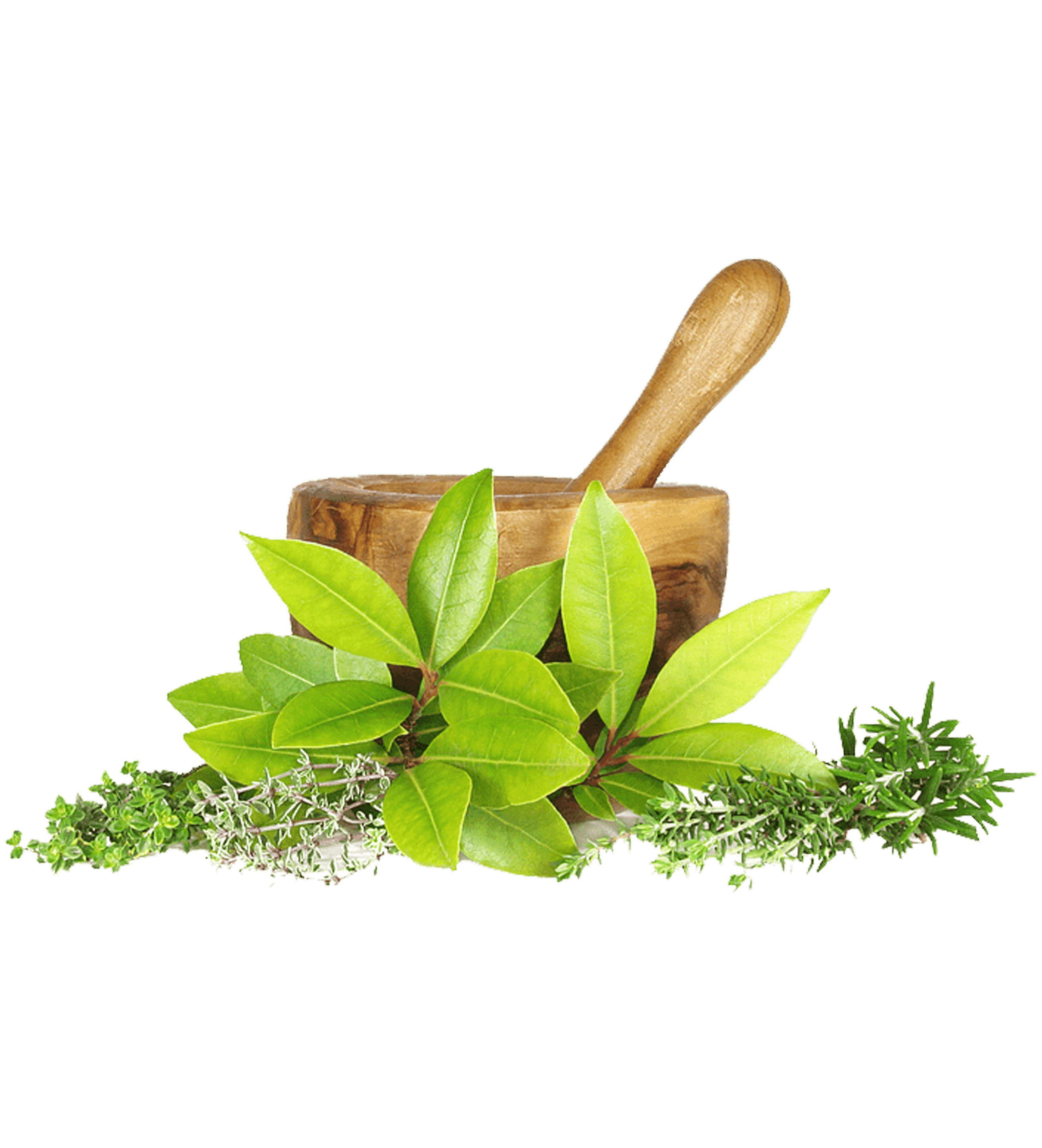 ORBO PRIME PICKS ORBODIGITAL INDIA PVT LTD Supplements